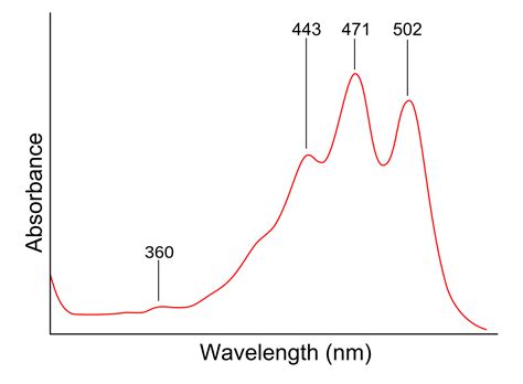 how to analyze uv vis|what is uv absorbance.